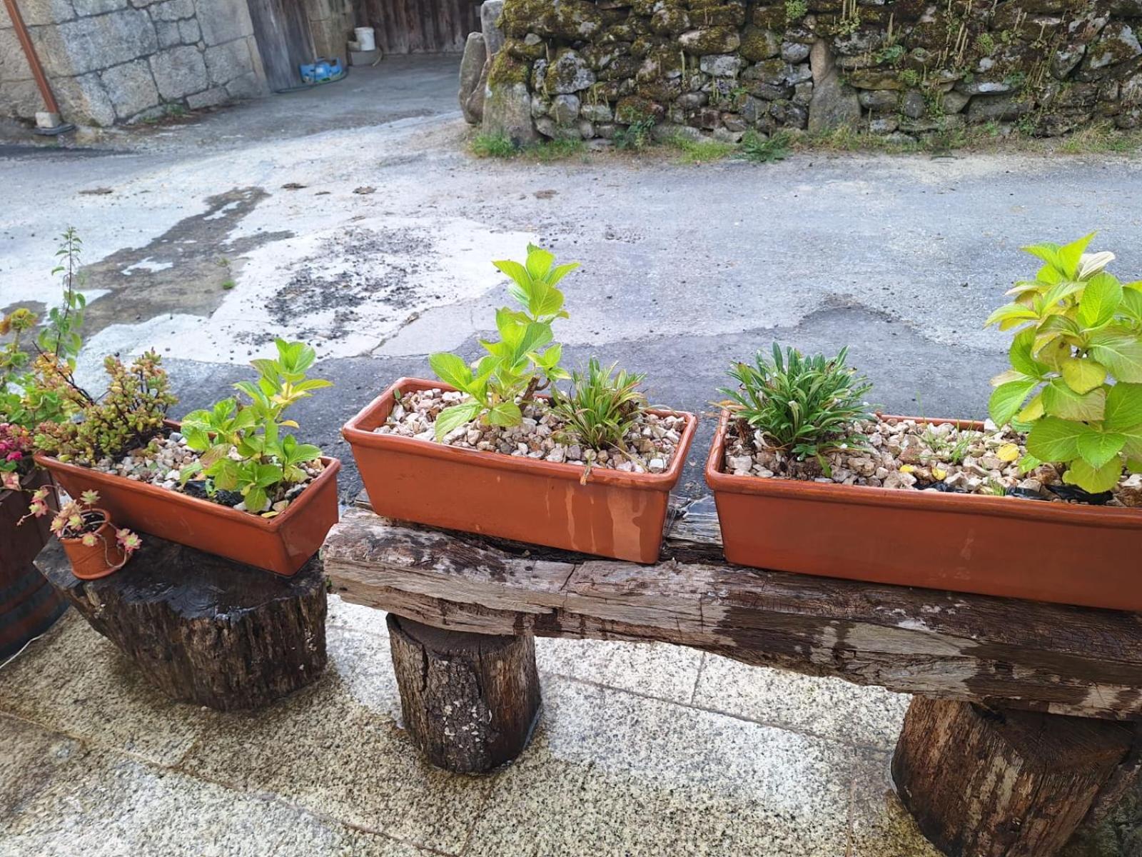 Pension O Corazon Da Ribeira Sacra La Teijeira Extérieur photo