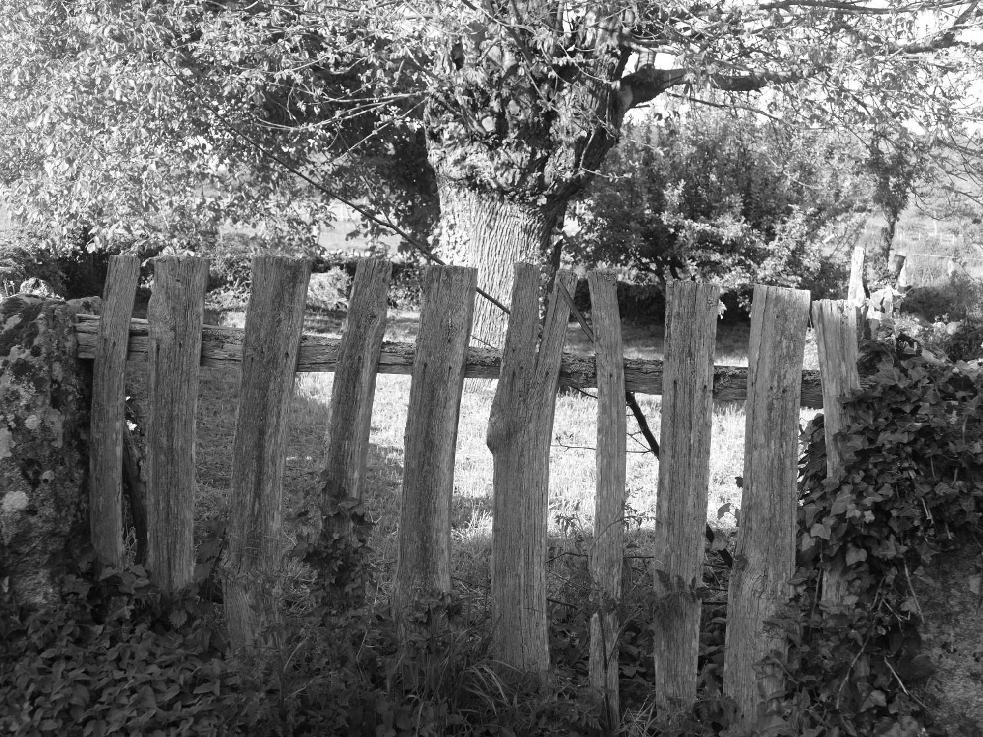 Pension O Corazon Da Ribeira Sacra La Teijeira Extérieur photo